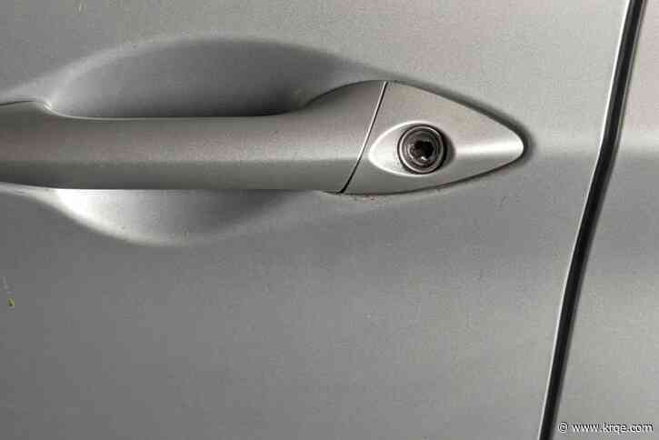 New Mexico has one of the highest vehicle theft rates. These models are big targets