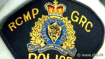 Teenage girl last seen in Winnipeg found safe: Selkirk RCMP