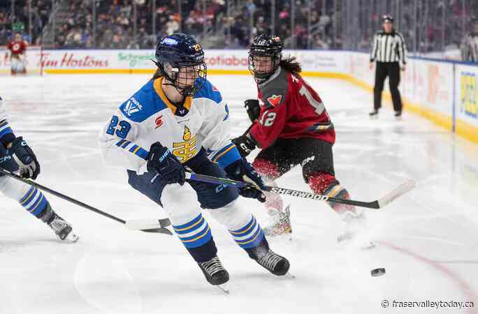 Sceptres’ Carter learned plenty while rehabbing in becoming steady blueline presence