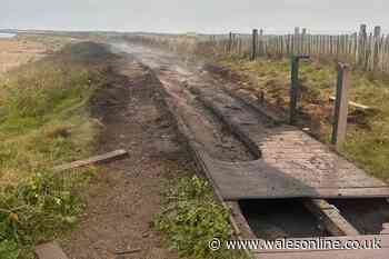 Fire-damaged Welsh boardwalk to be repaired