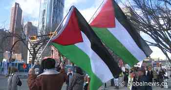 Pro-Palestinian rally held in Calgary after Israel launches airstrikes on Gaza