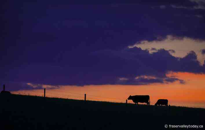 B.C.’s Forests Ministry told to protect cultural sites, First Nation’s water source