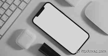 Our Apple Intelligence privacy reports are empty – how about yours? [Poll]