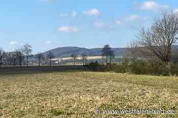 Die Urne – ein Sensationsfund aus Oppendorf