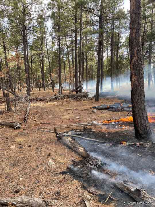 Ox Fire burns in the Cibola National Forest