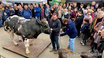 Met extra medewerkers nu toch naar 31ste editie Posse Leest: “Stadsbestuur gevraagd om subsidie te verhogen tot 10.000 euro”