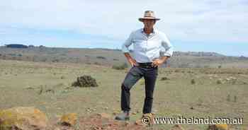 Native veg map could 'seal the fate of the Monaro' with large areas regulated