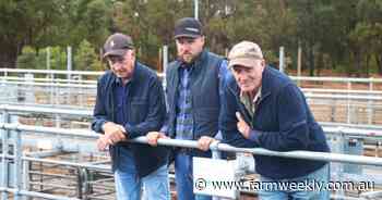 Beef steers sell to $1790 at Nutrien Livestock store cattle sale at Boyanup