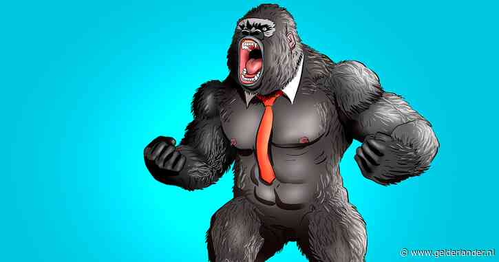 ‘Bokito-manager’ blijkt verliespost voor werkgever: personeel haakt mentaal af