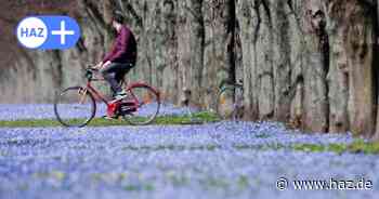 Wetter in Hannover: Der Frühling kommt kurz mit Sonne und milden Temperaturen