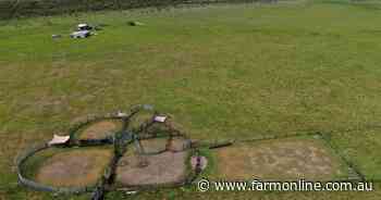 Grassed-up and close to town: Handy north west property heads to auction