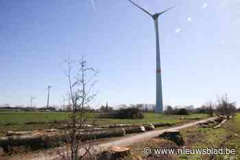 FOTO. Ook kaalslag in Raveschootwegel vlak voor de lente