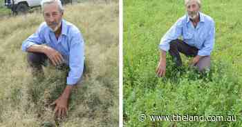 Monaro in 'environmental crisis' from weed, aided by legislation: farmers