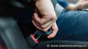 Riemen vast voor wilde dollarrit