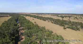 Negotiations continue on productive, exclusion-fenced grazing property