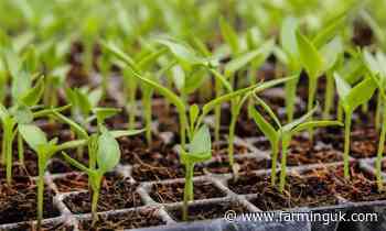 Growers call for halt to government's 'crippling' plant health fee hikes