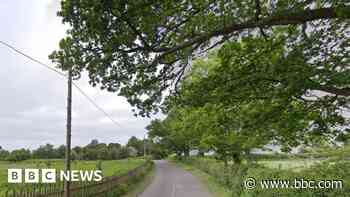 Woman, 77, charged after fatal dog attack