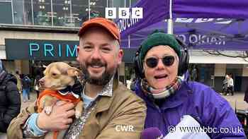 Alex T Smith judges the animals!