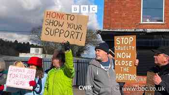 Villagers in Arley protest to shutdown abattoir
