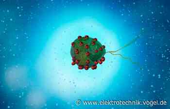 Forscher machen aus magnetischen Mikroalgen Miniroboter