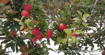 It's a shifting tide as city dwellers increasingly seek sea and tree change