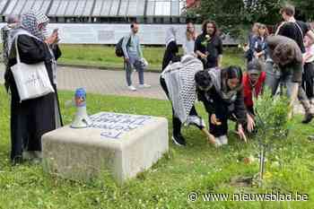 Olijfboom voor Palestina op VUB-campus gestolen door vandalen