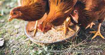 2 Sisters owner’s acquisition of Norfolk feed mill cleared by CMA