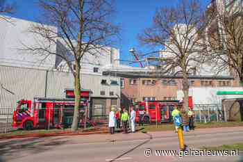 Grote brand in fabriek voor hondenvoer