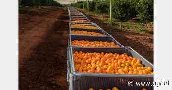 "Wij zijn de intermediair voor exporteur en importeur"