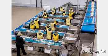 Prijzen macadamia +37%