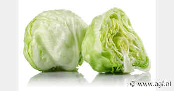 Almería exporthub van sla