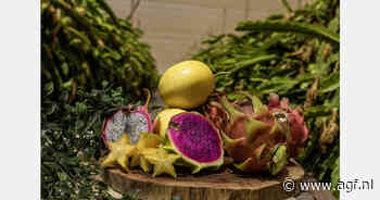 Met bestuivingsprogramma oogstpieken vermijden en promoties plannen