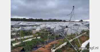 Twee tornado's vernielen zachtfruitkassen in Huelva