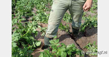 Regen bemoeilijkt toegang tot velden in Andalusië