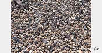 Proef met perzikpitten bij speeltoestellen in Urk mislukt