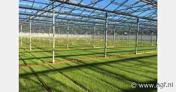 West Plant Group maakt doorstart na faillissement en gaat verder als WPG