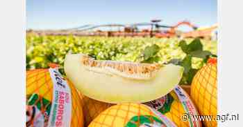 "Consumenten bereid meer te betalen voor kwaliteitsmeloen"