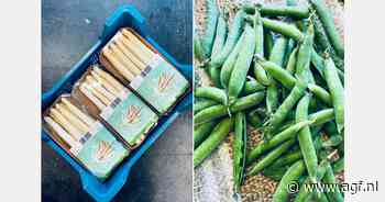 "We zijn in blijde verwachting van de lamsoren, dan is het voorjaarsseizoen echt losgebarsten"