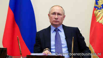 Verbetert Poetin toegang tot mondiale graanmarkt?