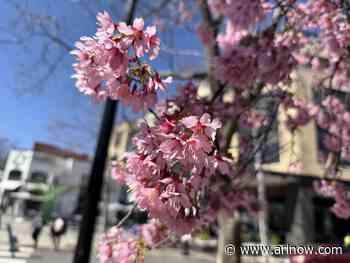 Morning Notes for March 19, 2025