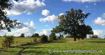 Plans for new houses, care home and primary school on green belt