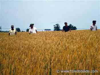 Old friend inspires governor's call for businesses to hire ex-offenders