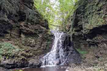 Northumberland beauty spot car park to reopen after four months following upgrades