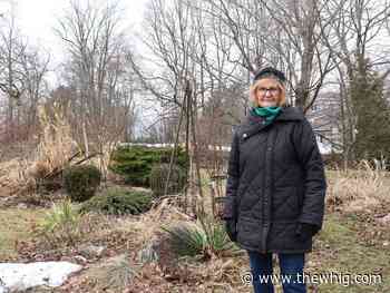 Kingston couple shocked after Canadian flag stolen from their front garden