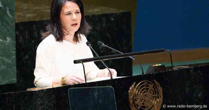 Regierung verteidigt Baerbocks UN-Nominierung