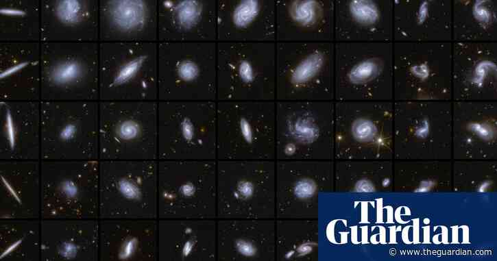 Scientists hail ‘avalanche of discoveries’ from Euclid space telescope