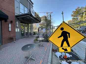 Bicycle, pedestrian panels now tasked to focus on big picture, not details