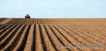 Noord-Amerika snijdt fors in aardappelareaal