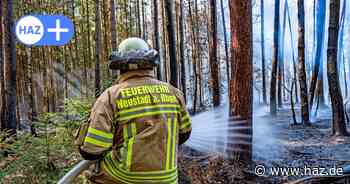 Trockenheit in Hannover: Waldbrandgefahr in der Region auf Stufe 3