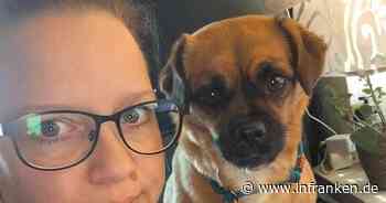 Kronach: Hündin Bella hat starke Schmerzen - "verzweifeltes Frauchen" mit Hilferuf